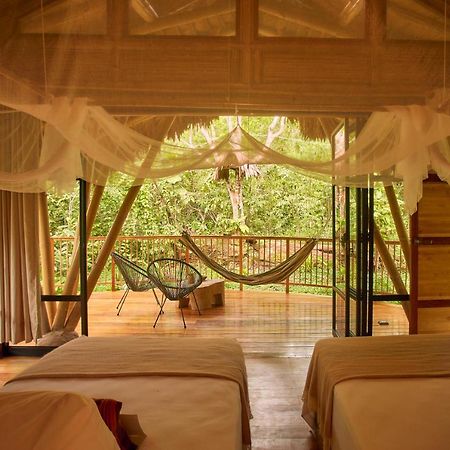 טראפוטו Bosque Guardian Lodge מראה חיצוני תמונה