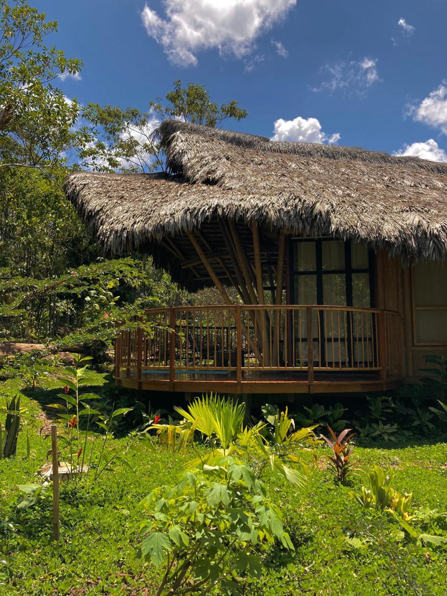 טראפוטו Bosque Guardian Lodge מראה חיצוני תמונה