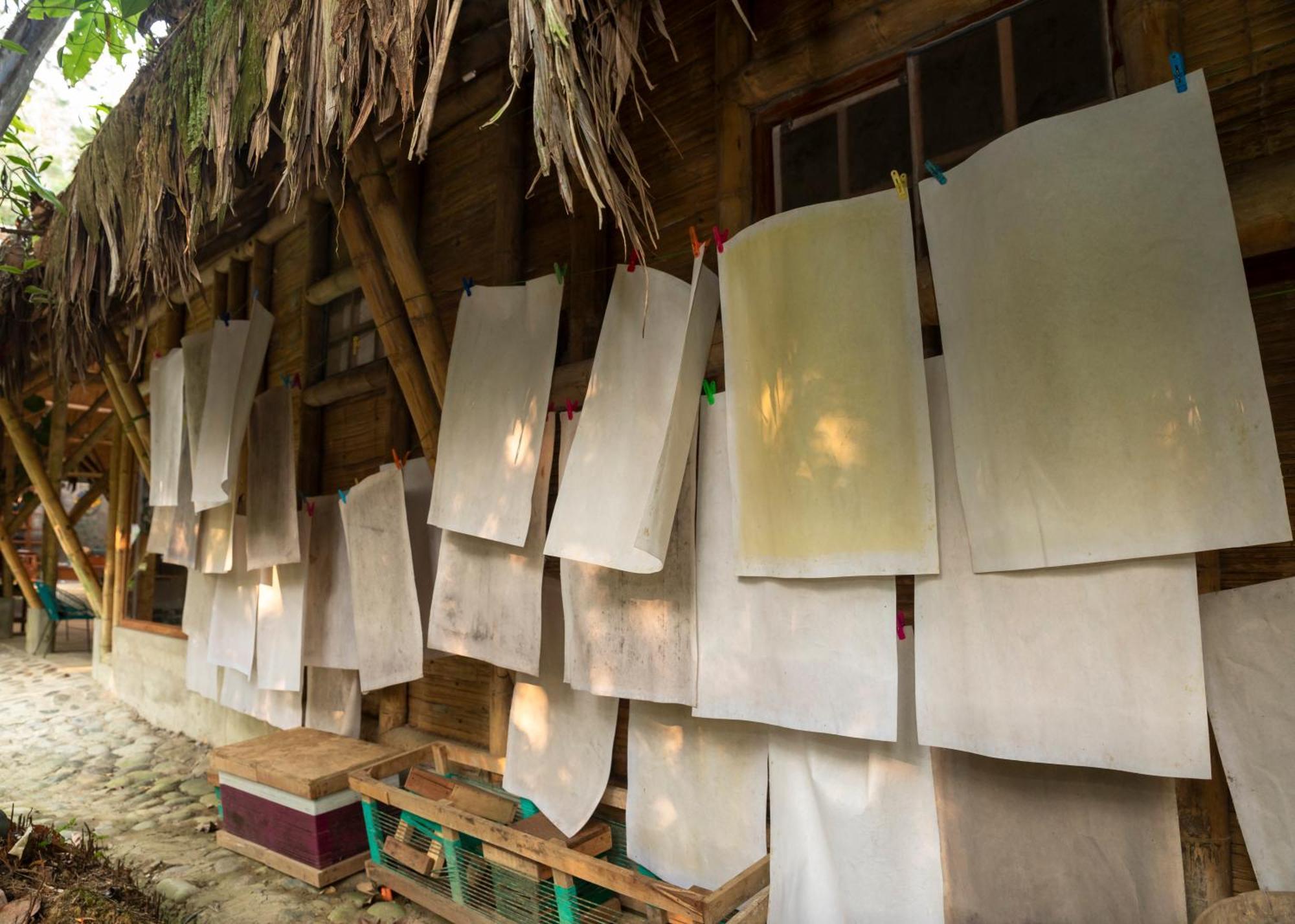 טראפוטו Bosque Guardian Lodge מראה חיצוני תמונה