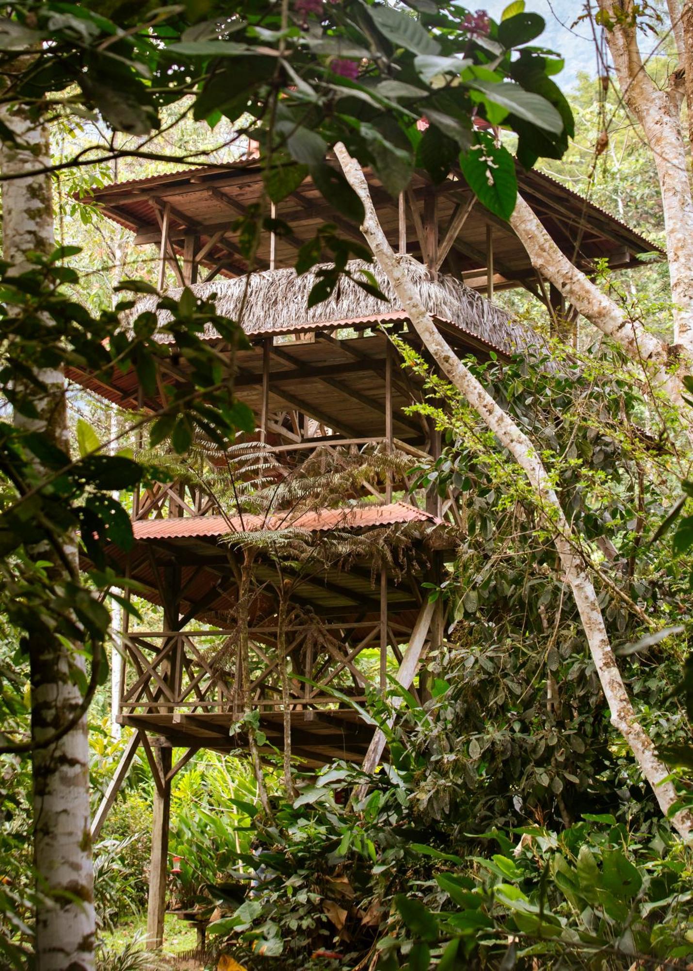טראפוטו Bosque Guardian Lodge מראה חיצוני תמונה